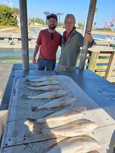 Fresh caught fish displayed on cleaning table at Fort Pierce FL marina dock