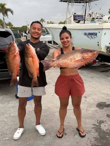 Successful fishing trip in Fort Pierce FL showing freshly caught grey snapper