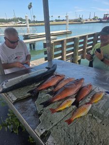 Fresh caught fish displayed on cleaning station at Fort Pierce FL marina including lane snapper and mixed species
