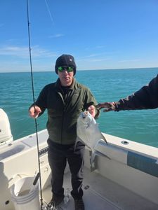 Permit fish caught while fishing in Fort Pierce FL
