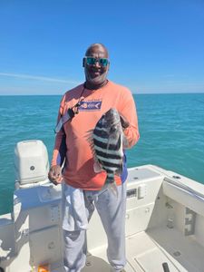 Sheepshead fish catch on fishing boat in Fort Pierce FL waters