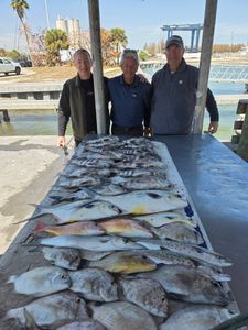 Large fishing catch of lane snapper and permit displayed on cleaning table at Fort Pierce FL marina