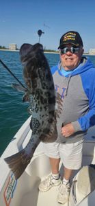 Gag Grouper caught while fishing in FL