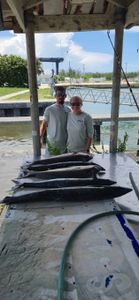 Two anglers fishing in Florida