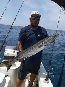 A huge great barracuda caught while fishing in Fort Pierce