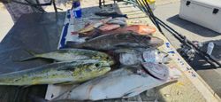 Angler with 33-inch fish at Fort Pierce