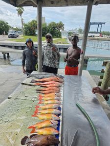 Fresh caught lane snapper and other fish species displayed on cleaning table at Fort Pierce FL fishing dock
