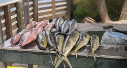Two fishers with their catch in Fort Pierce