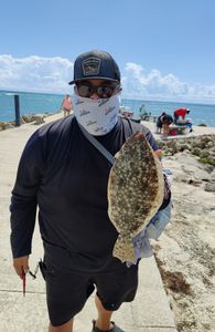 Summer Flounder caught fishing in Fort Pierce