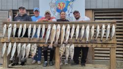 5 black drum and sheepshead fish caught fishing in TX