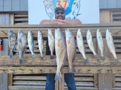 Image of 8 redfish and spotted weakfish caught in Corpus Christi, Texas