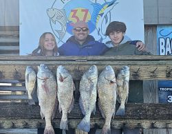 Six black drum fish displayed on wooden dock after successful fishing trip in Corpus Christi TX