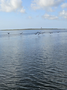 Clear skies and deep sea adventures await in Corpus Christi!