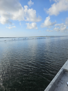 Clear skies and calm waters set the stage for epic drift fishing adventures!