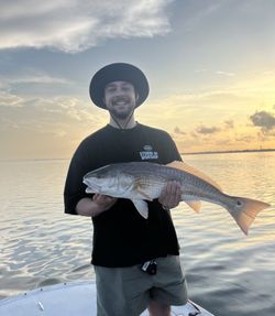 Redfish catch held on fishing boat in Corpus Christi TX waters at sunset
