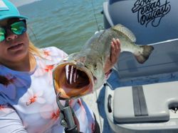 Lone angler fishing in Texas