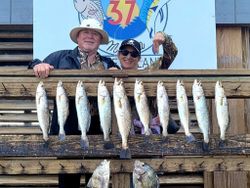 Spotted Weakfish caught in TX