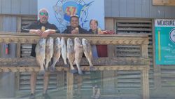 Anglers caught 4 unspecified fish in Corpus Christi