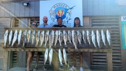 6 fish caught by 4 people in TX during fishing