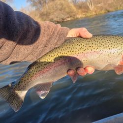 Trophy catch alert!