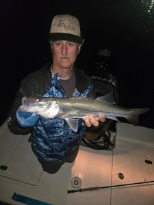Snook season never ends!