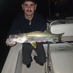 Lines tight, Snook in sight!