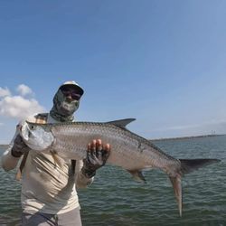 tarpon strike success! 