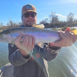 Another day, another trout!