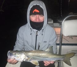 Snook night fishing in Texas. Cool experience