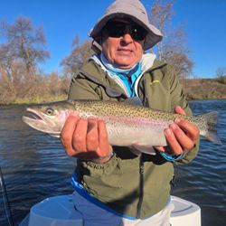 Angler with a large rainbow trout catch in TX