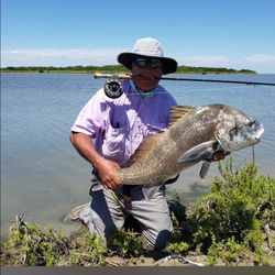 Photograph of a Black Drum fish caught in TX