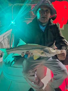 Snook fish caught on fishing trip at South Padre Island