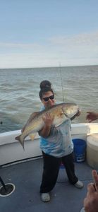 Hello there, redfish