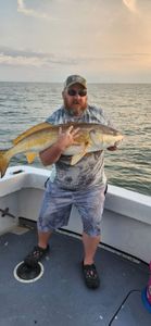 Hook of the day: Big redfish