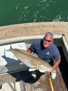 Hello there, redfish