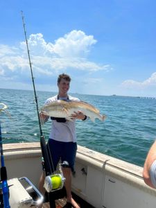The beauty of redfish