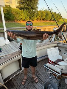 Single blue marlin caught by angler in Norfolk