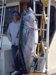 Angler fishing in Norfolk