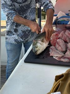 One fishing trip in Norfolk