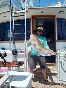 Large fish caught during fishing trip in Norfolk VA
