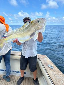 Large fish being held on fishing boat in Norfolk VA waters