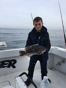 Tautog fish caught while fishing in VA