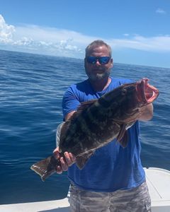 Grouper Fishing in Florida Keys