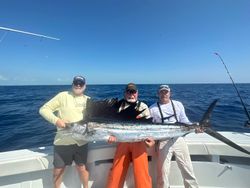 A single Atlantic Sailfish, a large fish caught while fishing in Tavernier