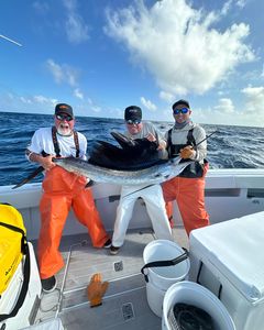 A majestic Atlantic Sailfish caught by 3 people in Tavernier