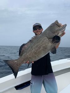 Black grouper caught while fishing in Tavernier FL