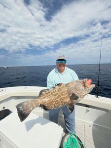 Black grouper caught while fishing in Tavernier FL