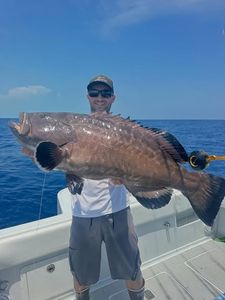 Black grouper caught fishing in Tavernier FL waters