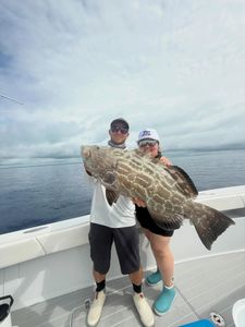 Large black grouper caught while fishing in Tavernier FL waters displayed on boat deck