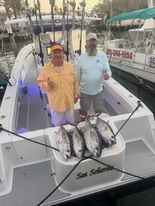 Four blackfin tuna caught on fishing boat in Tavernier FL marina